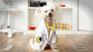 Diagnóstico não é proposta. É entrega.