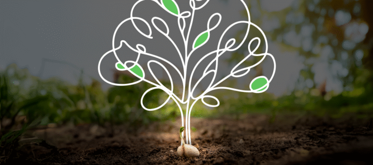 Quando conteúdo vira ativo (e não só despesa)