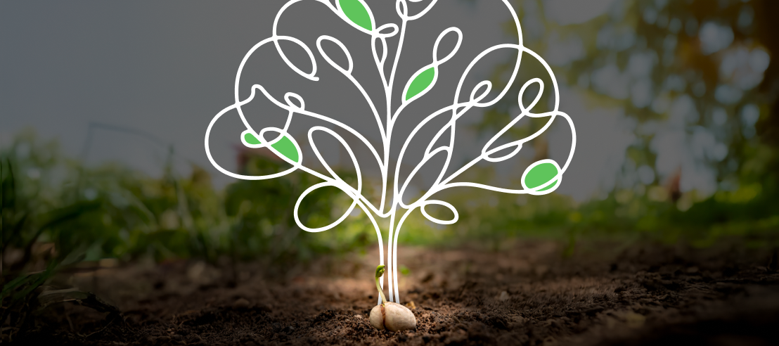 Quando conteúdo vira ativo (e não só despesa)