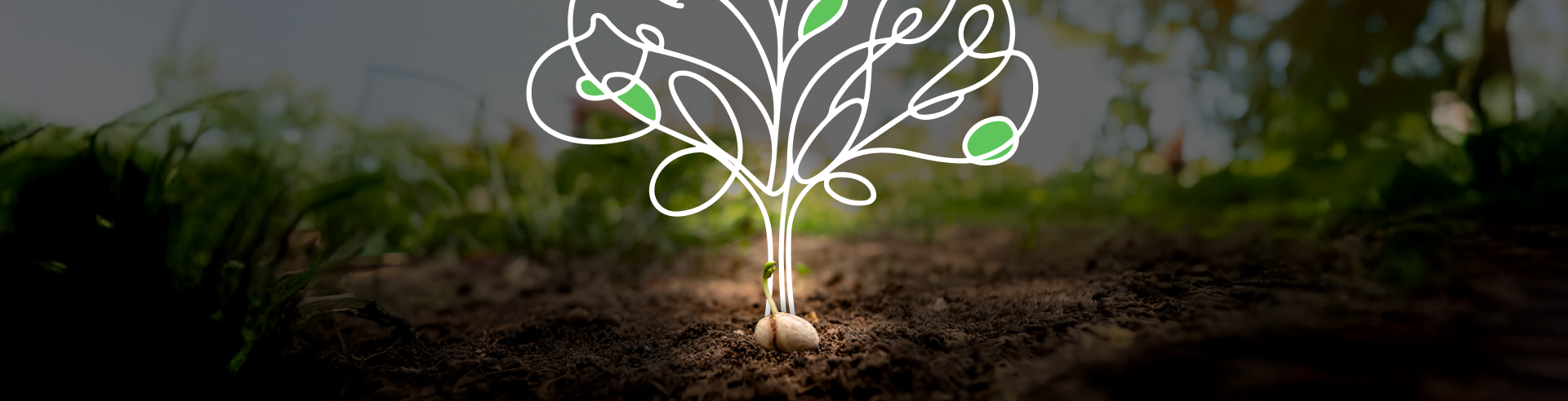 Quando conteúdo vira ativo (e não só despesa)