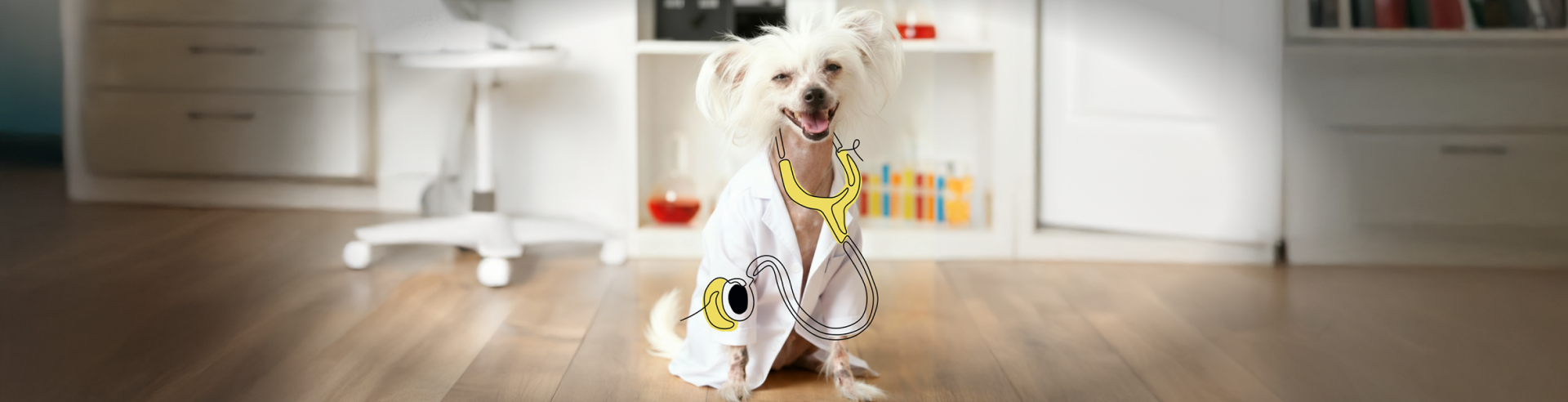 Diagnóstico não é proposta. É entrega.