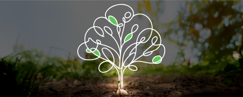 Quando conteúdo vira ativo (e não só despesa)