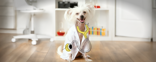 Diagnóstico não é proposta. É entrega.