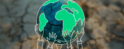 Uá Uá na COP30: comunicação estratégica na construção da Ecora